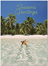 Hope you have the merriest of holidays. Tropical Surprise Holiday Card X580U-A